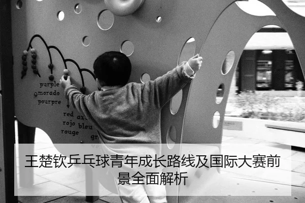 王楚钦乒乓球青年成长路线及国际大赛前景全面解析